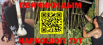 гидропоника Новозыбков