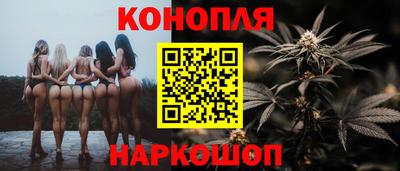 шишки Новокубанск