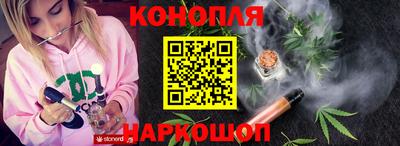 гидропоника Новозыбков