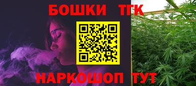 гидропоника Новозыбков