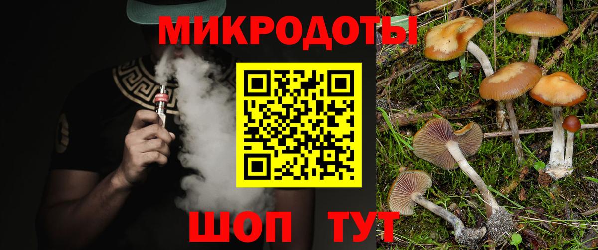 Ухта  Галлюциногенные грибы прущие грибы  Вход с VPN 