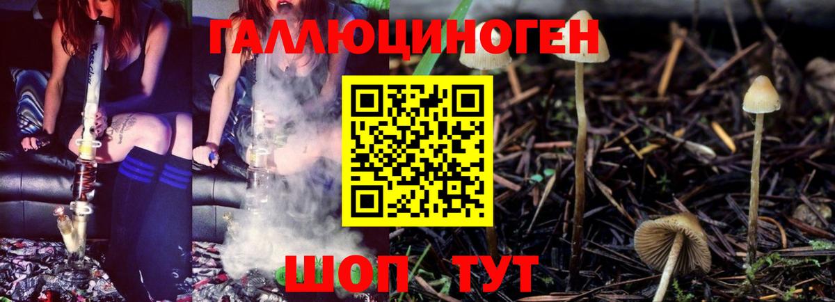 Галлюциногенные грибы Psilocybine cubensis Ухта